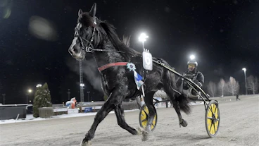 Tekno Jerven segerdefilerar