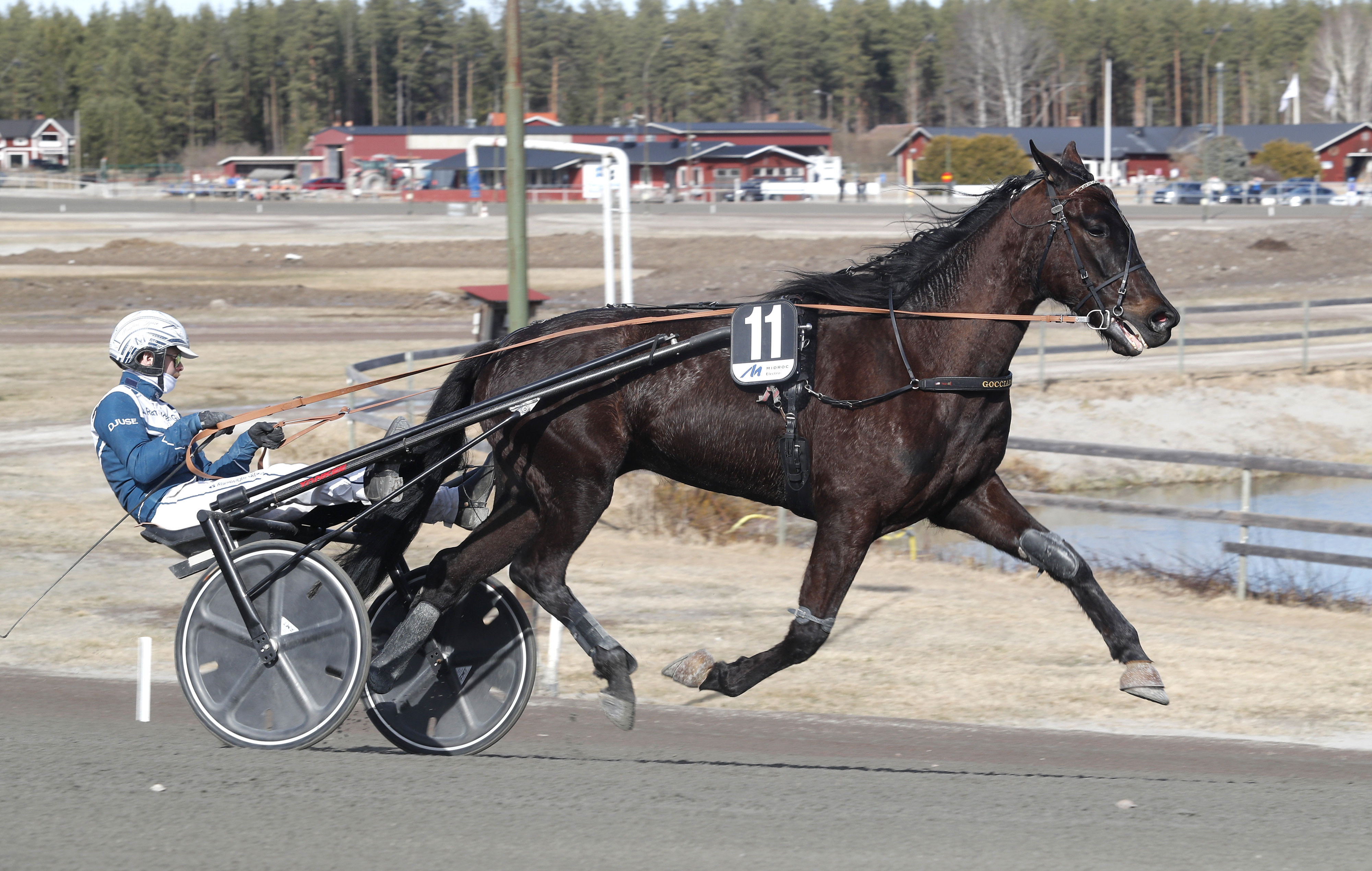 Profiler lämnar stall Törnqvist
