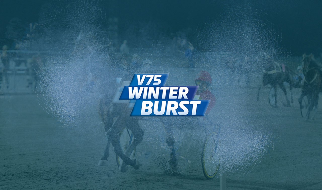 Travstugan Winter Burst