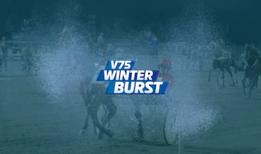 Travstugan Winter Burst