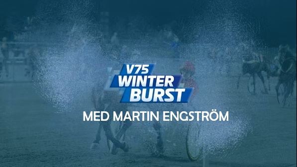 Travstugan Winter Burstmartin