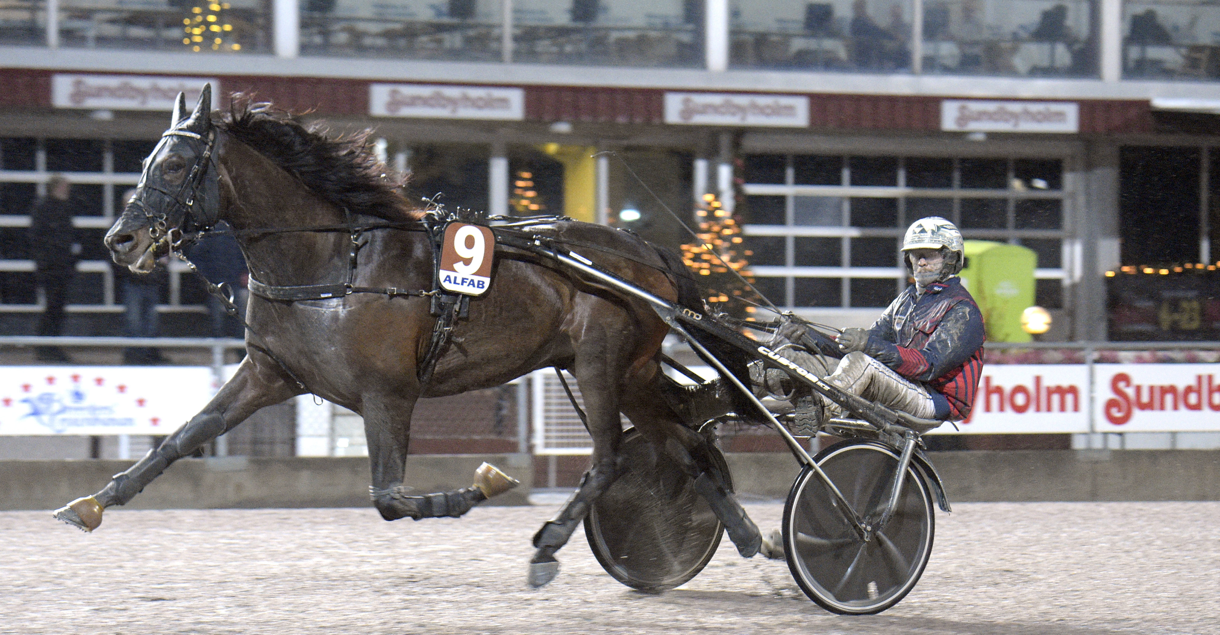 STL-vinnaren anmäld till regidebut