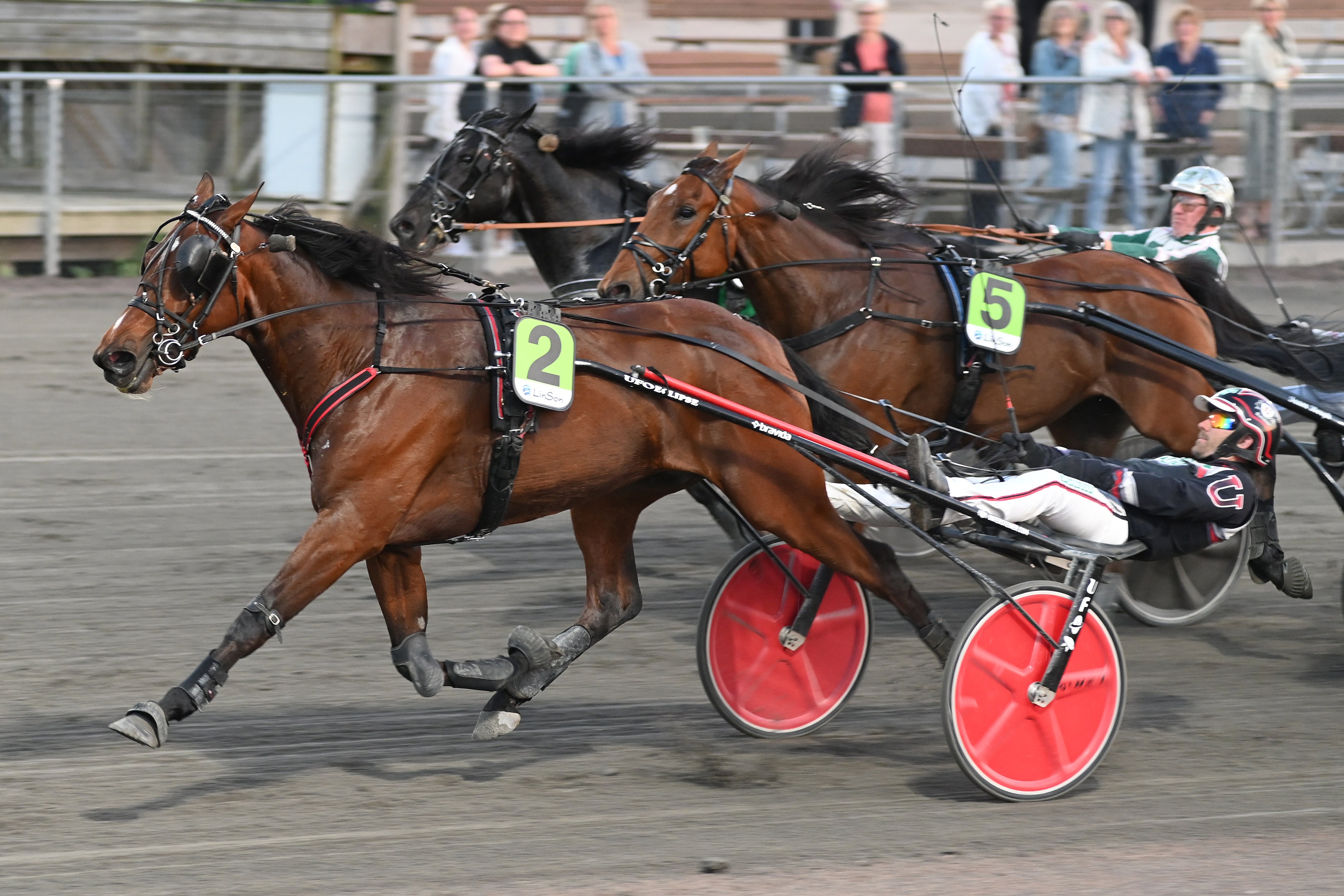 Tug Of War mal vt DSC 0073
