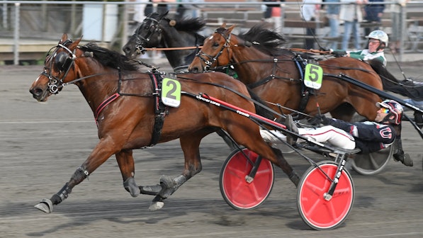 Tug Of War mal vt DSC 0073