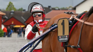 Verbeeck Jos sulky