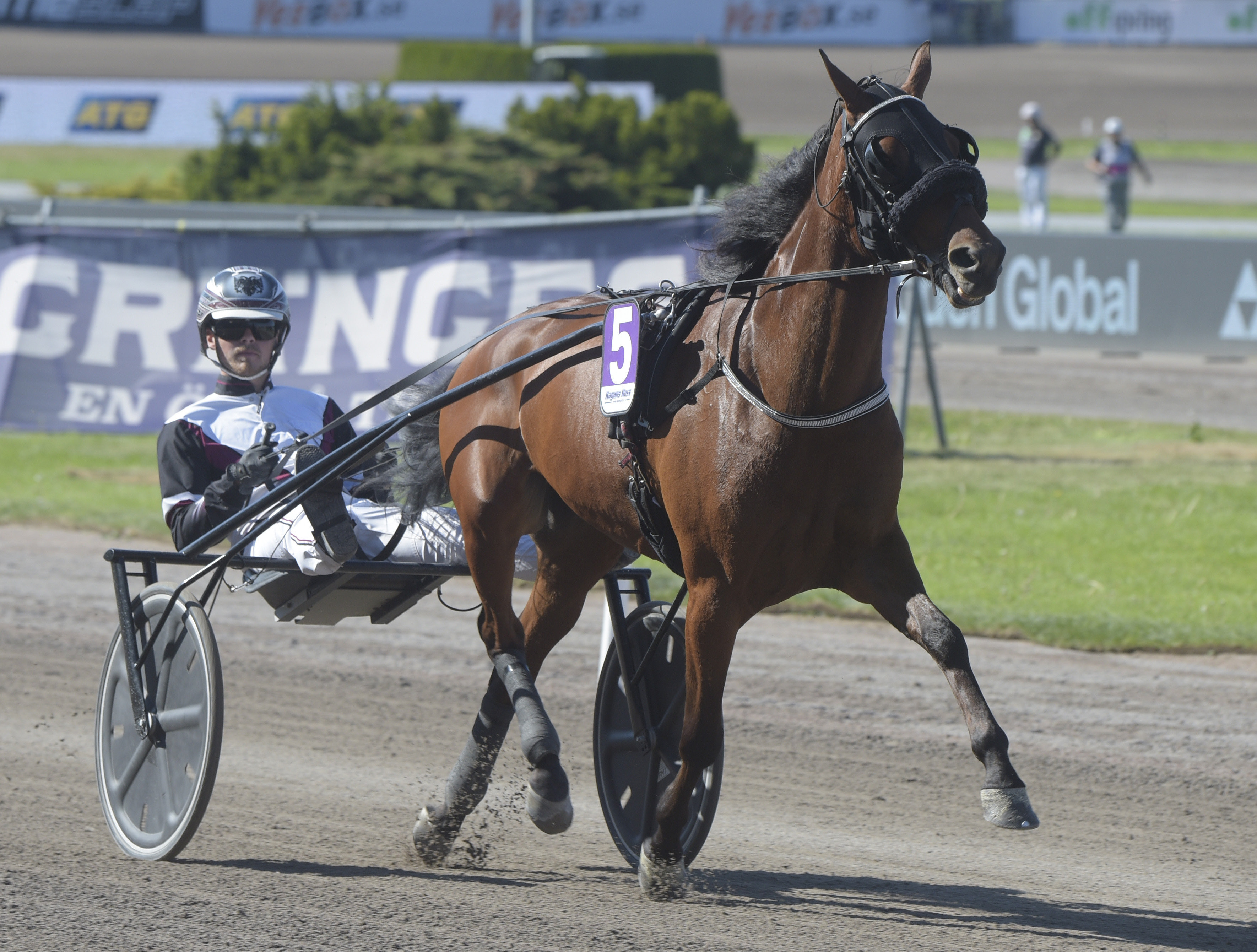 Kolgjini-sto slutar tävla