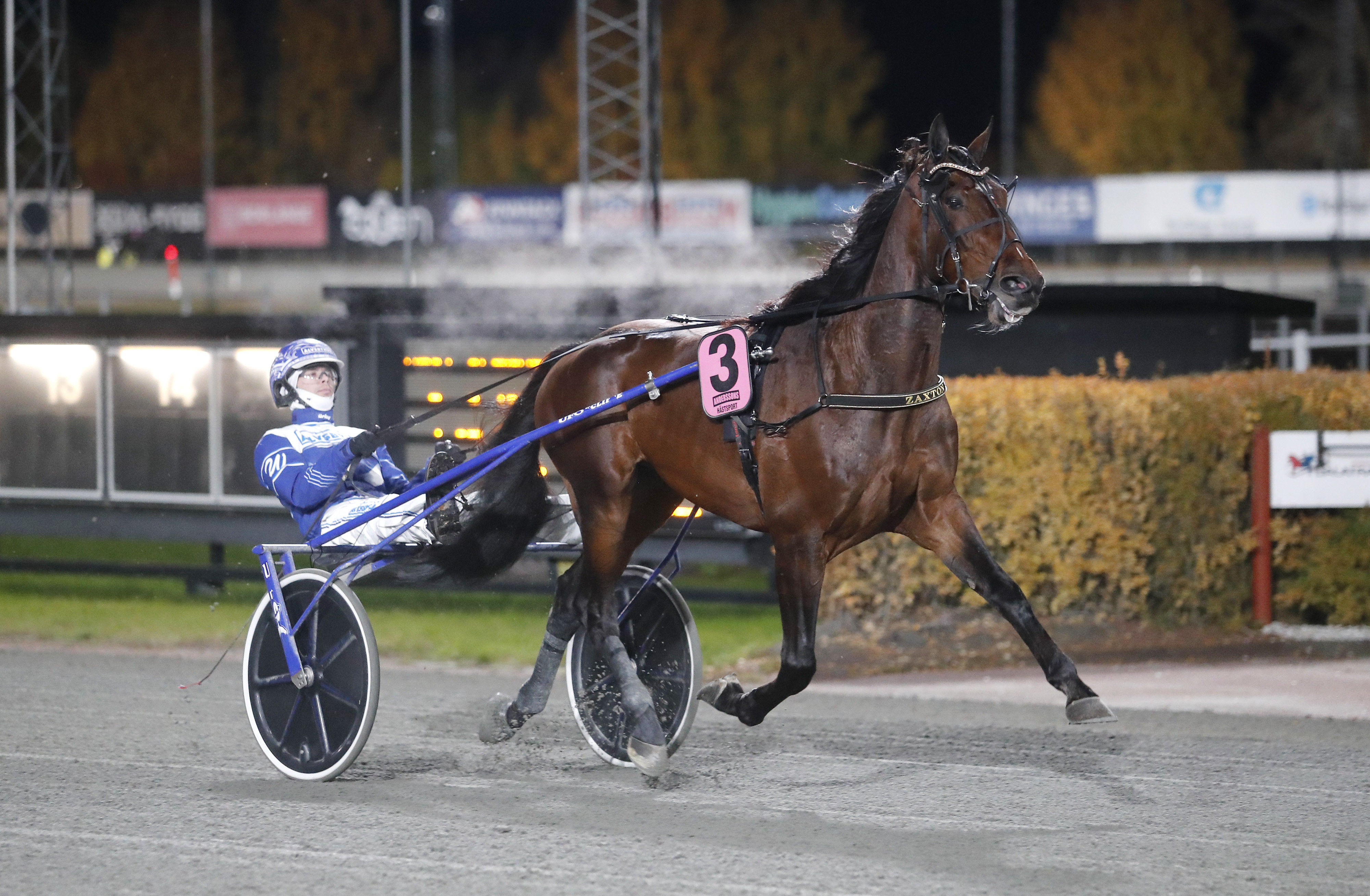 STL-vinnaren har dött