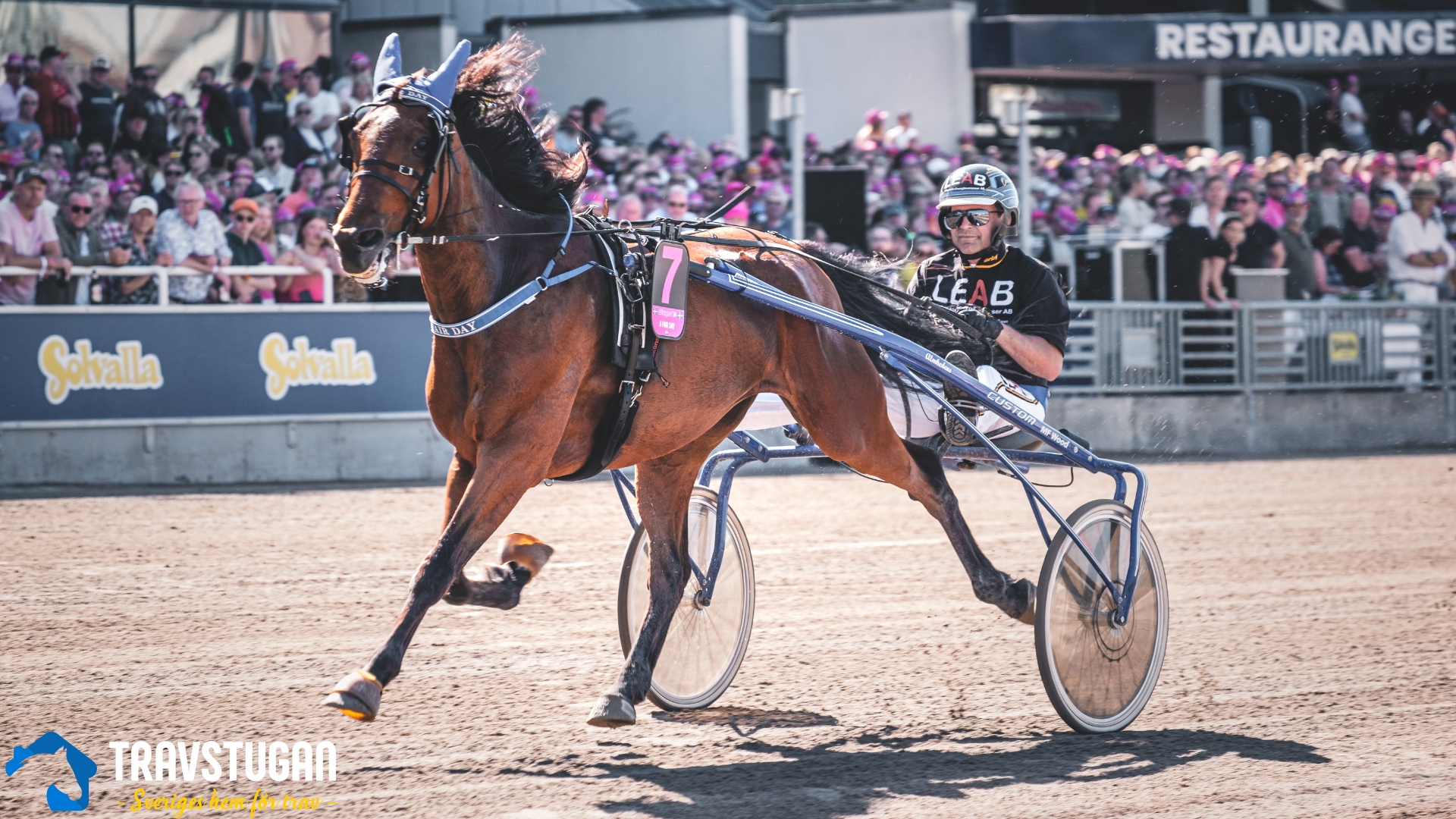 När A Fair Day vinner, så vinner vi allihopa