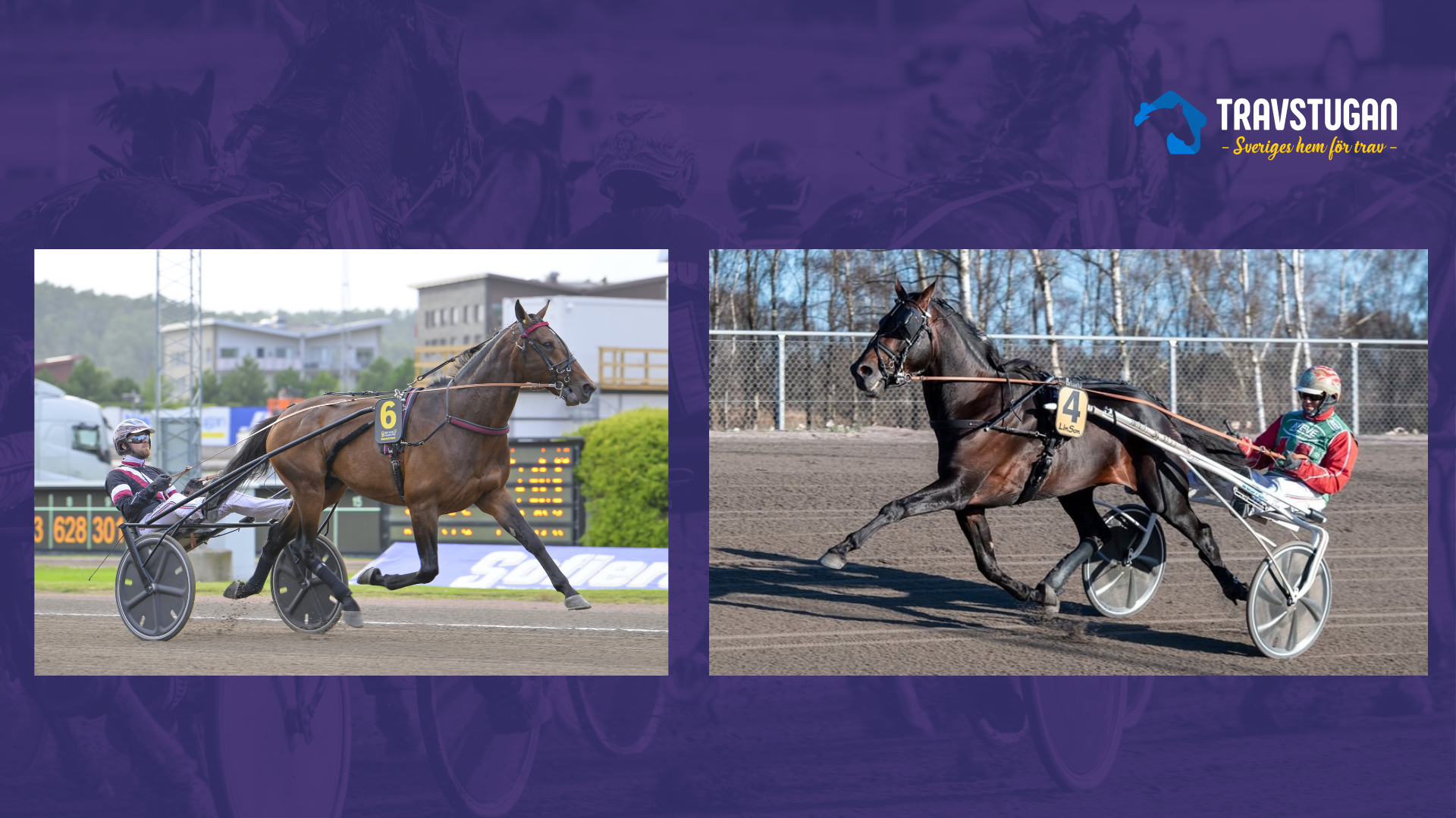 Två profiler återkommer - i samma lopp