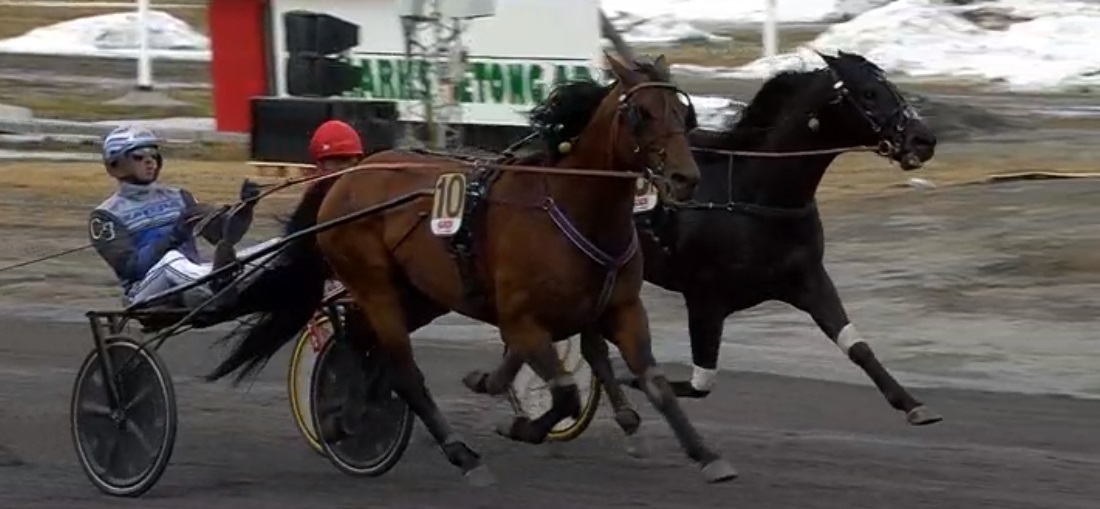 Viktiga Elitloppssvar - men bitter