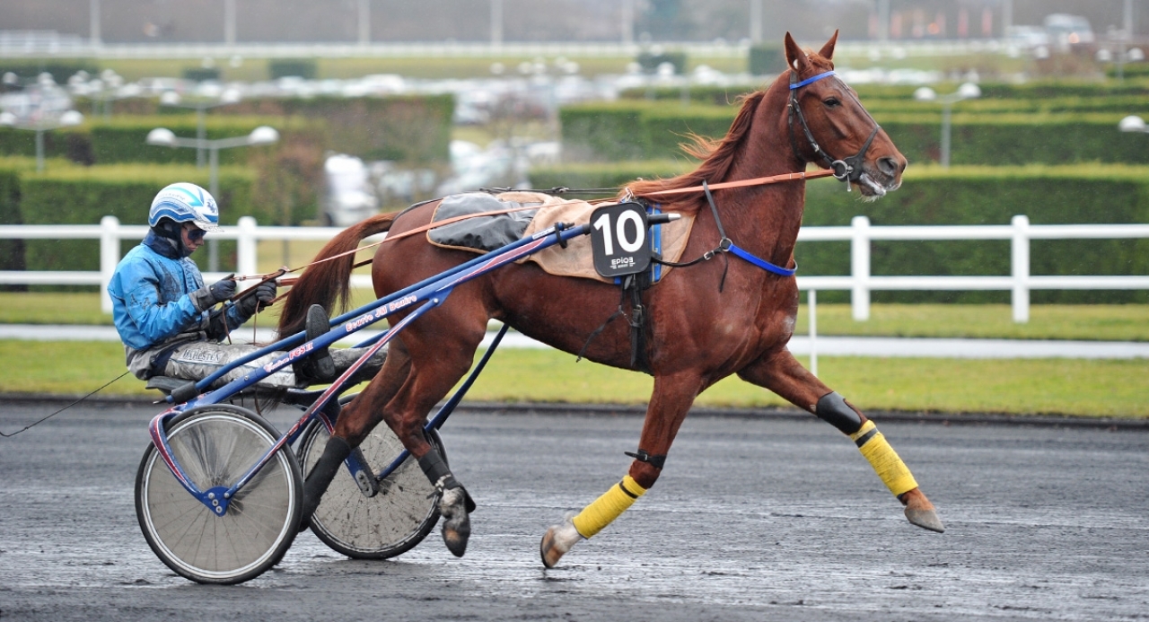 Svenska Spel satsar på franskt trav