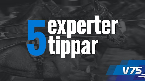 5Tippar V75