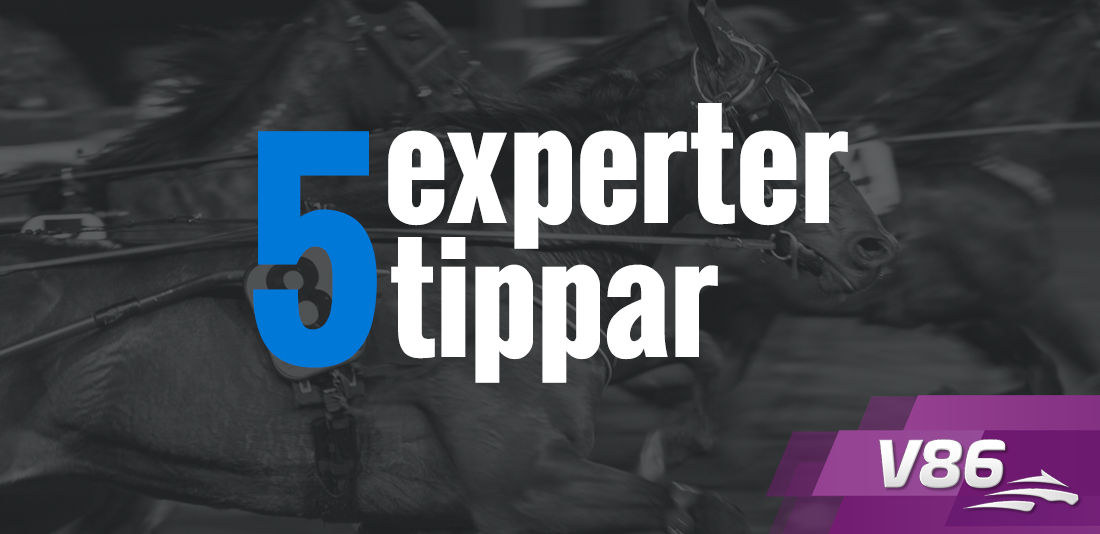 Fem Tippar V86 Solvalla/Åby 29 augusti 2018