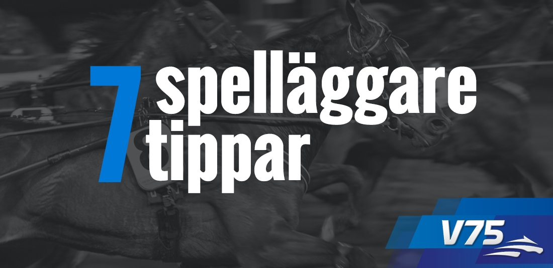 Sju Tippar V75 Årjäng 14 juli 2018 