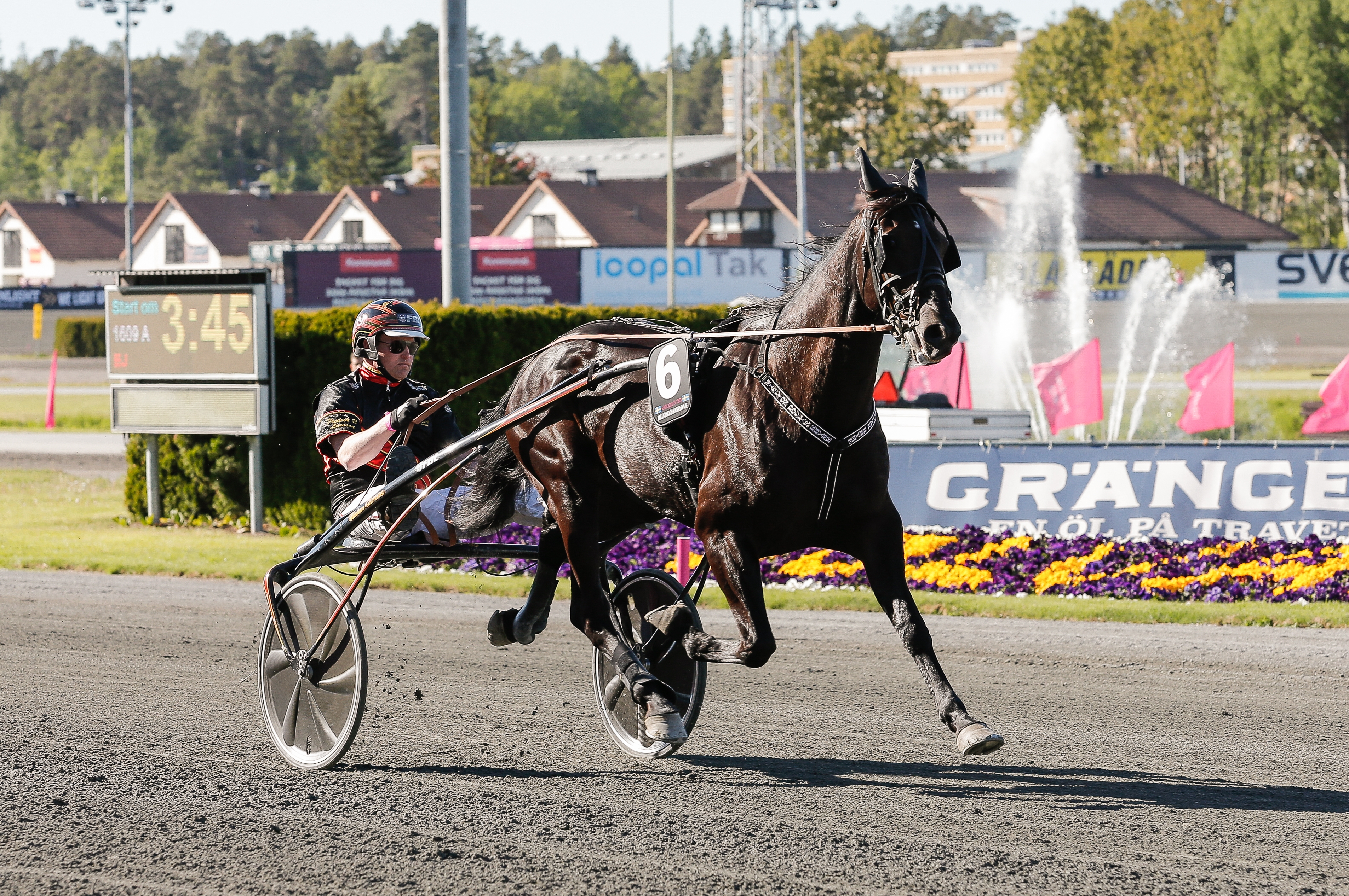 INFÖR FINLANDIA AJO: Dags att övertyga Elitloppsgeneralen