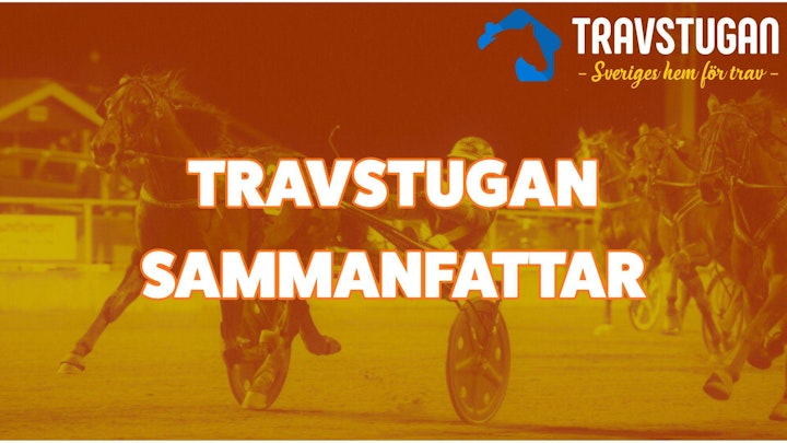 TRAVSTUGAN SAMMANFATTAR