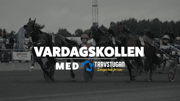 VARDAGSKOLLEN