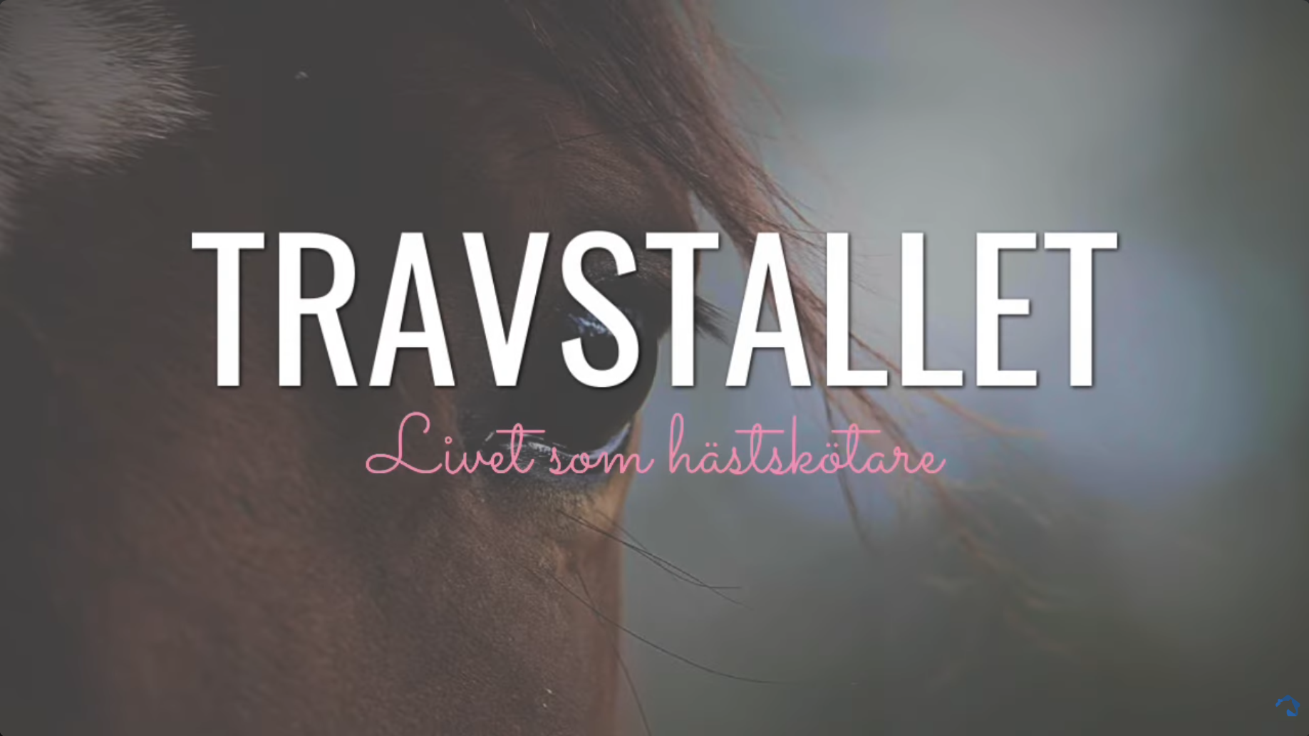 Livet som hastskotare