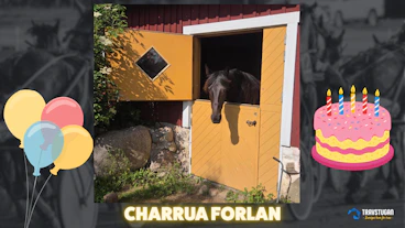Charr