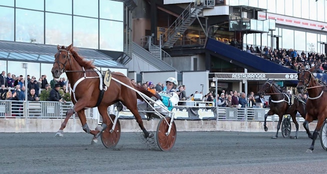 Conradsrdluvaml 1Artikelbild 1280