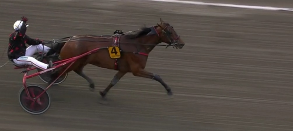 Mastiga maratonet kommer lägligt till