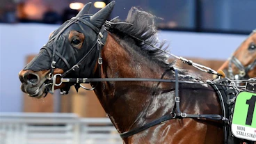 Diamant