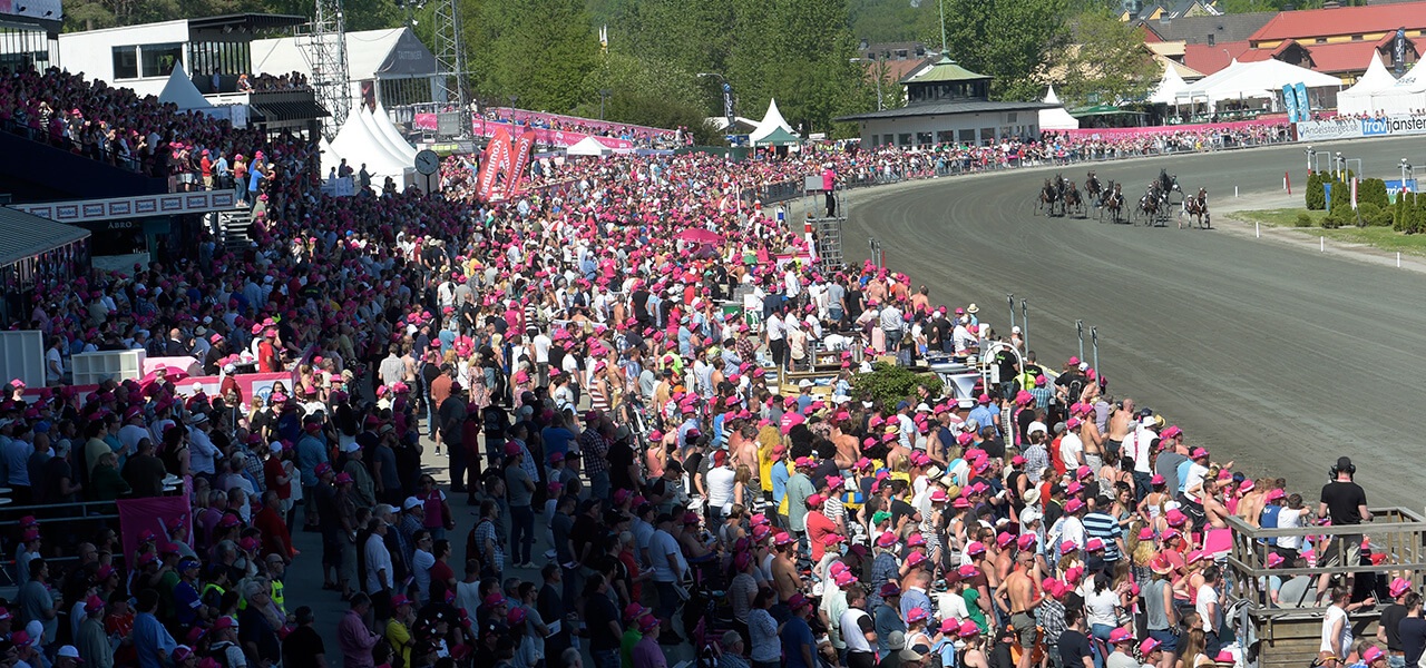 Elitloppet travsugan