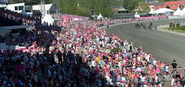 Elitloppet travsugan