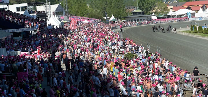 Elitloppet travsugan