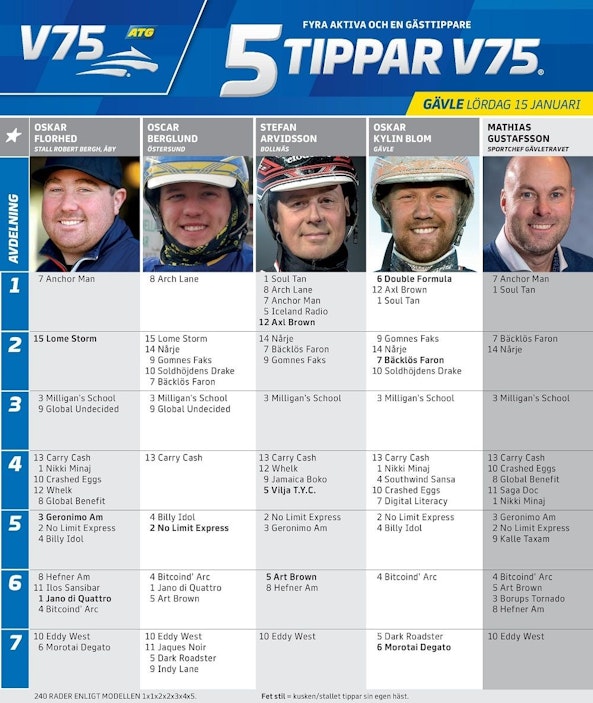 Fem tippar v75 januari