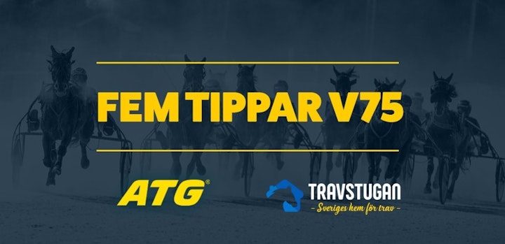 Fem tippar v75