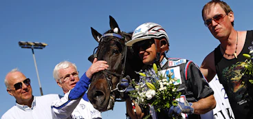 Hallstalotus2012