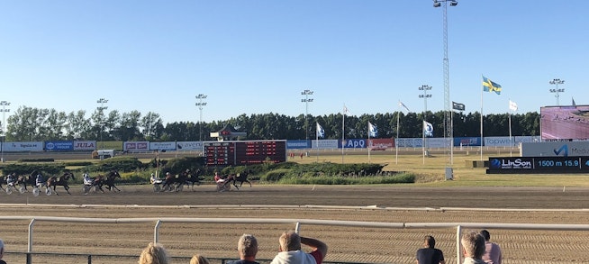 Highrollersox