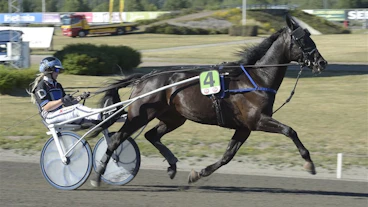 Minne
