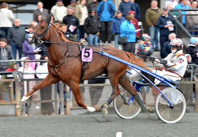 Nesta Effe Jpg 299527