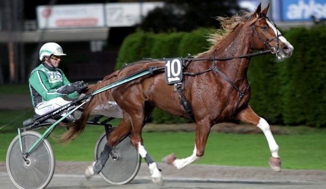 Nettan Palema Heat 2 2