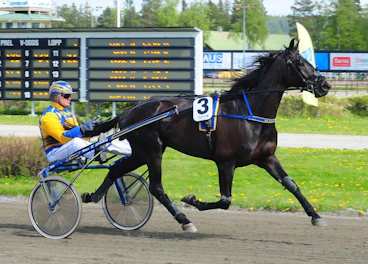 On Track Piraten