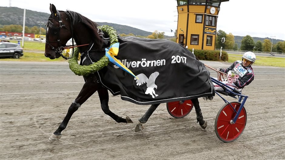 Inför V75: Solänget 8 september