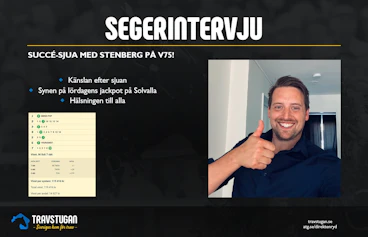 Stenbergsjua