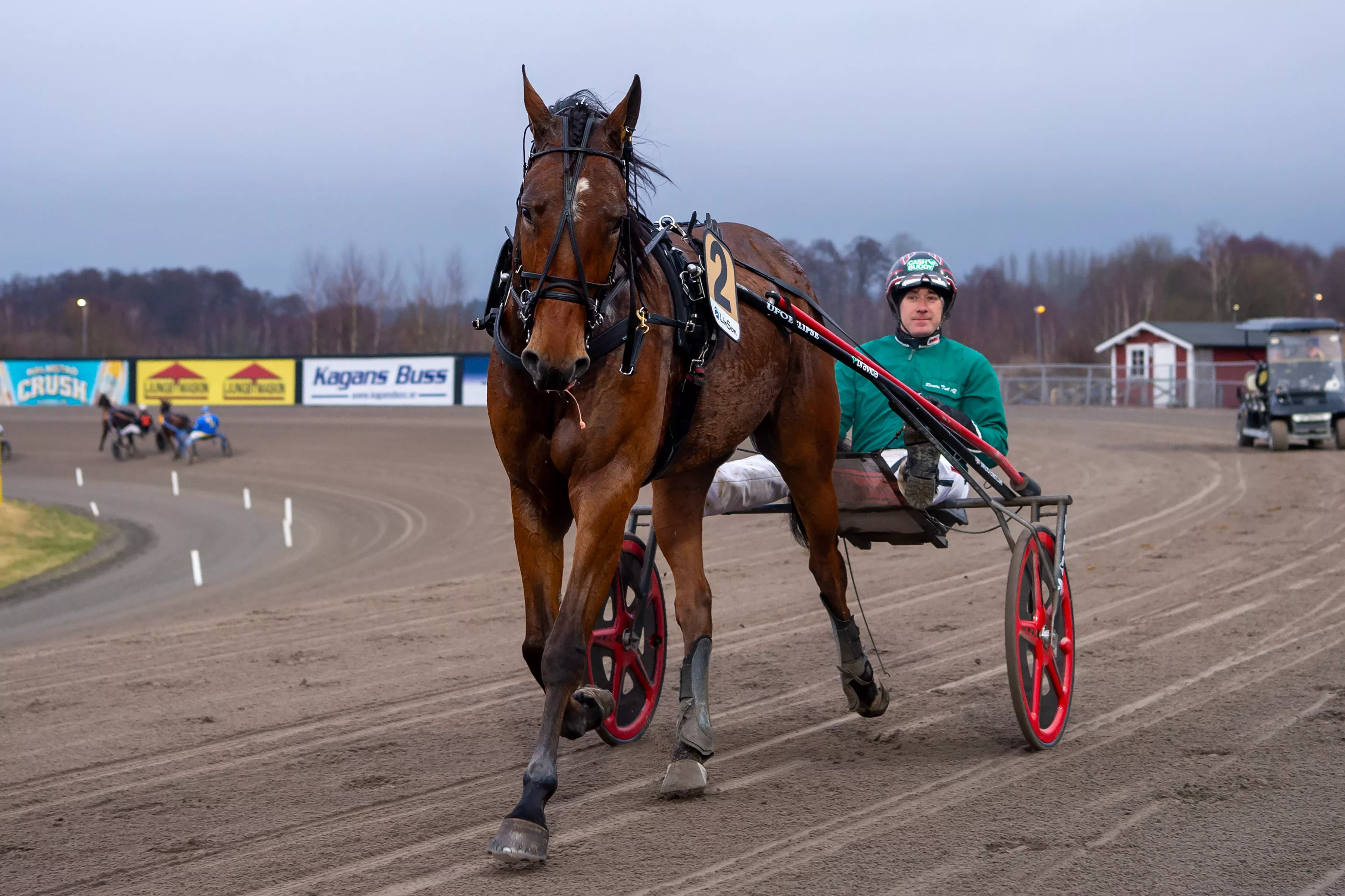 Stens rubin segerdefilering