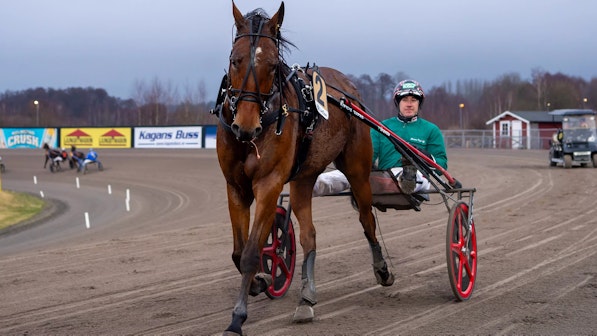 Stens rubin segerdefilering