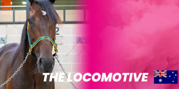 Thelocomotive