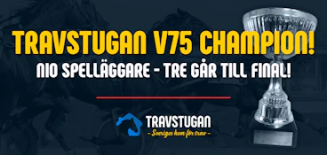 Travstugan champion v75 final