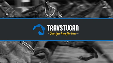Travstugan