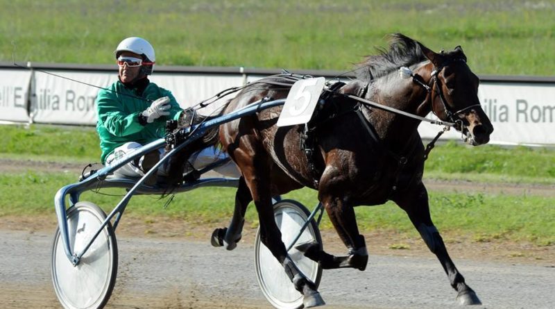Lotteriavinnaren inbjuden till Elitloppet