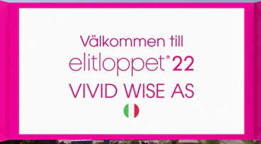 Vidi