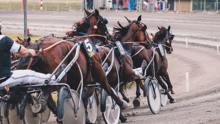 Travtips V86: Jerven bäst trots bakspår över kort distans