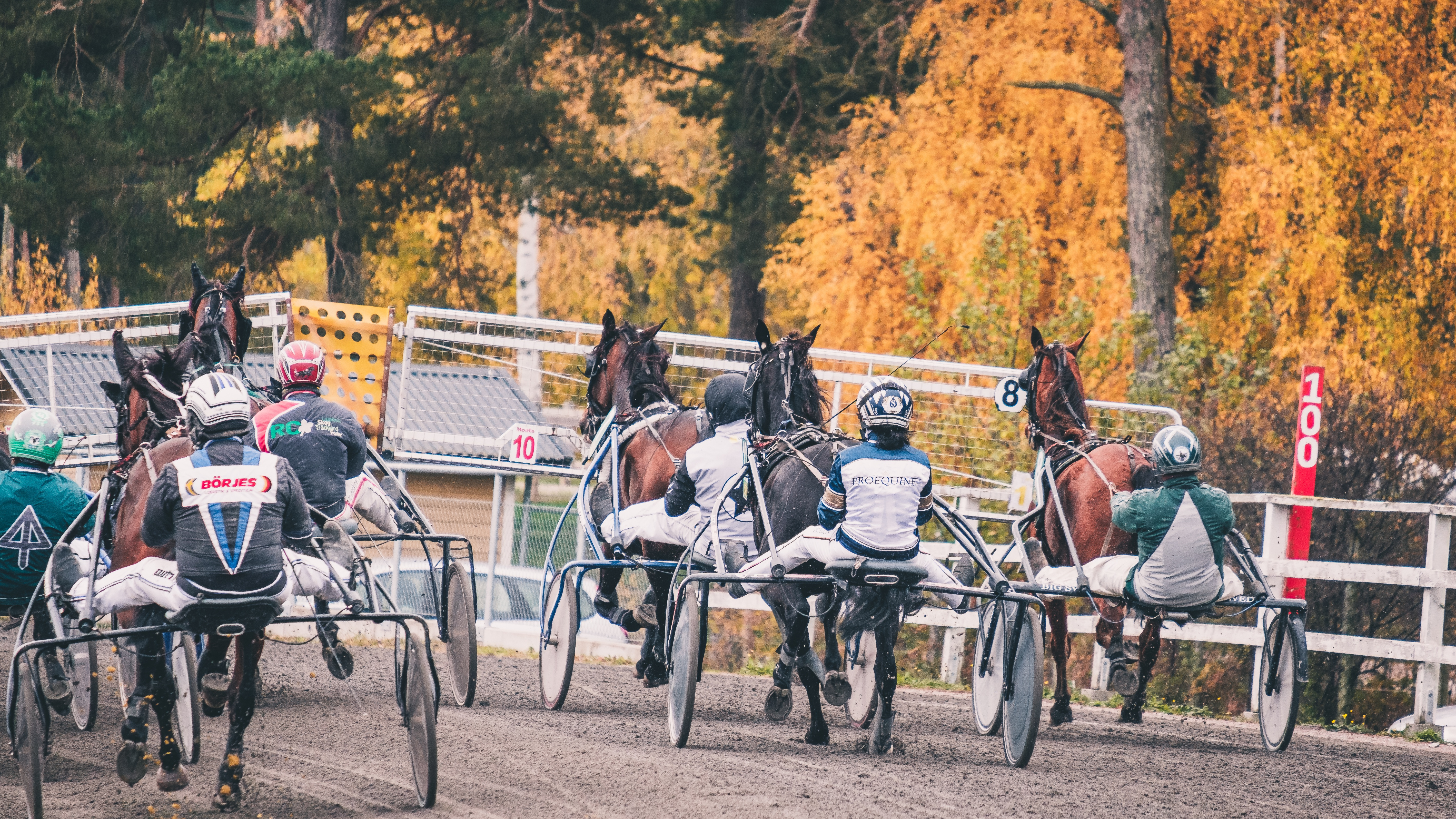 Travtips V85 Jägersro: Han grejar det till slut!