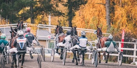 Erika Pajari travtips