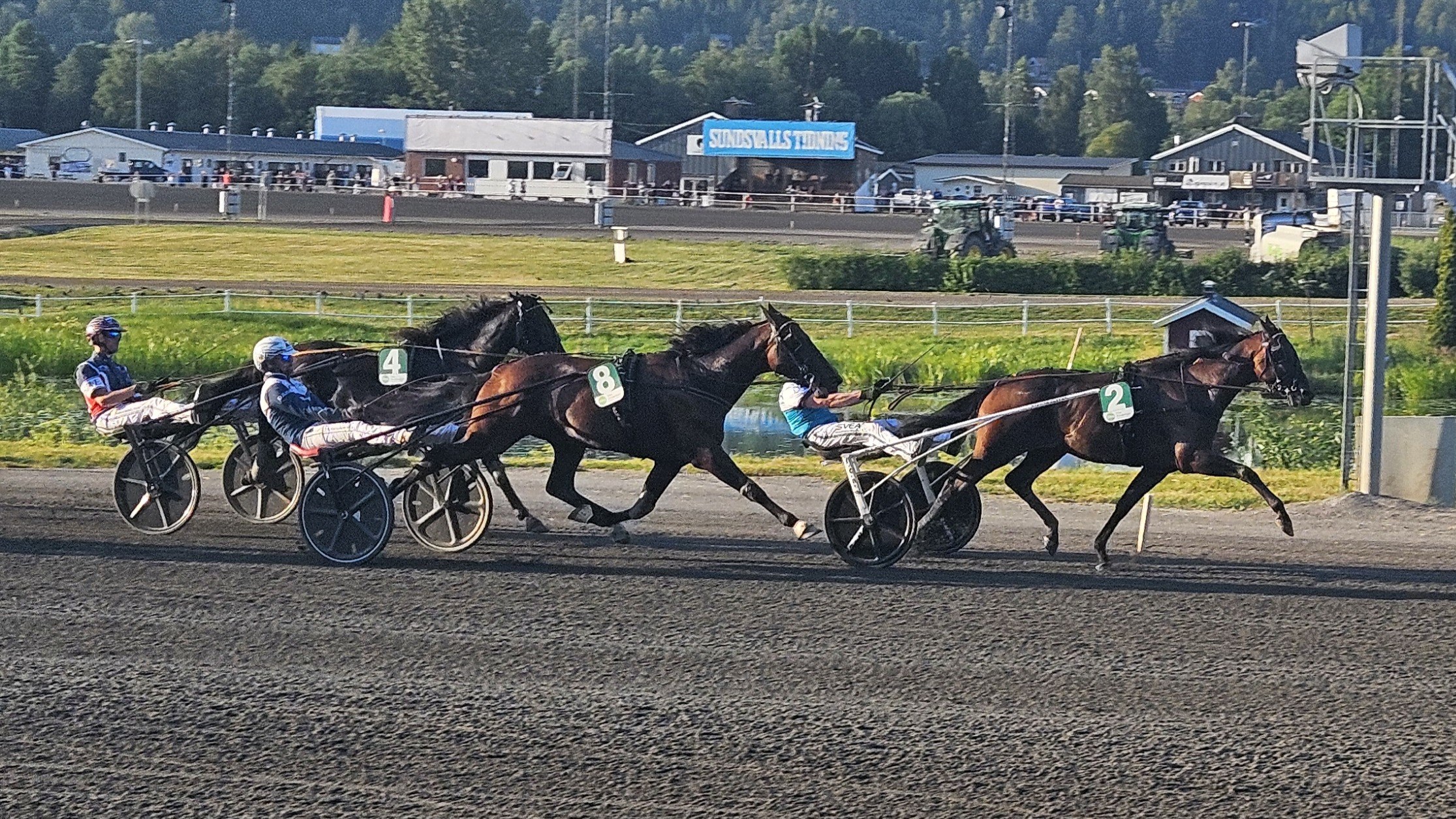 Travtips V64-tips: Caspian bäst i långa loppet